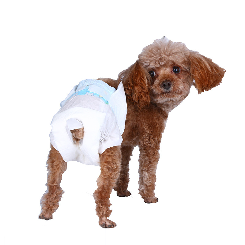 Disposable Toilet Wee Urine Underpad and Puppy Pet Select Pee Training Under Pad for Dog